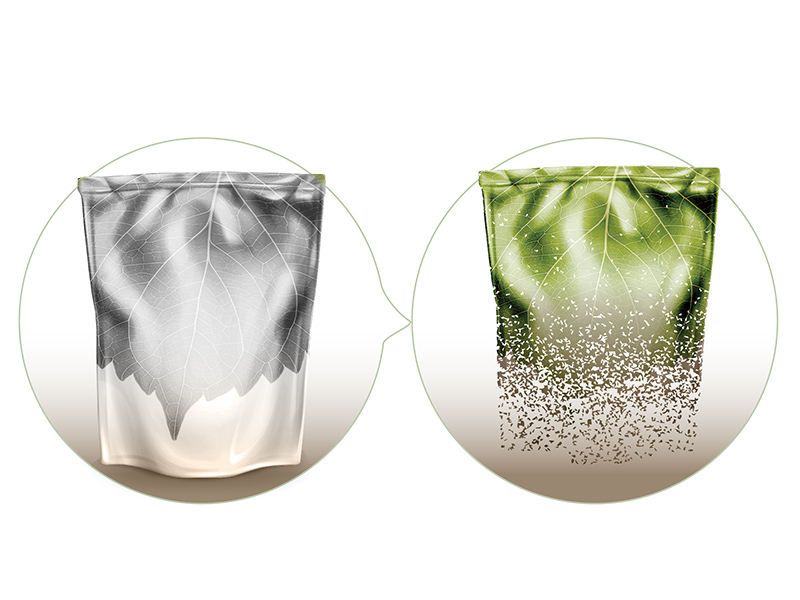 Home Composting Process